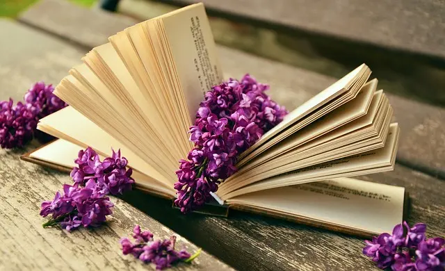 10 Consejos para Mejorar tu Vocabulario en Español Efectivamente
