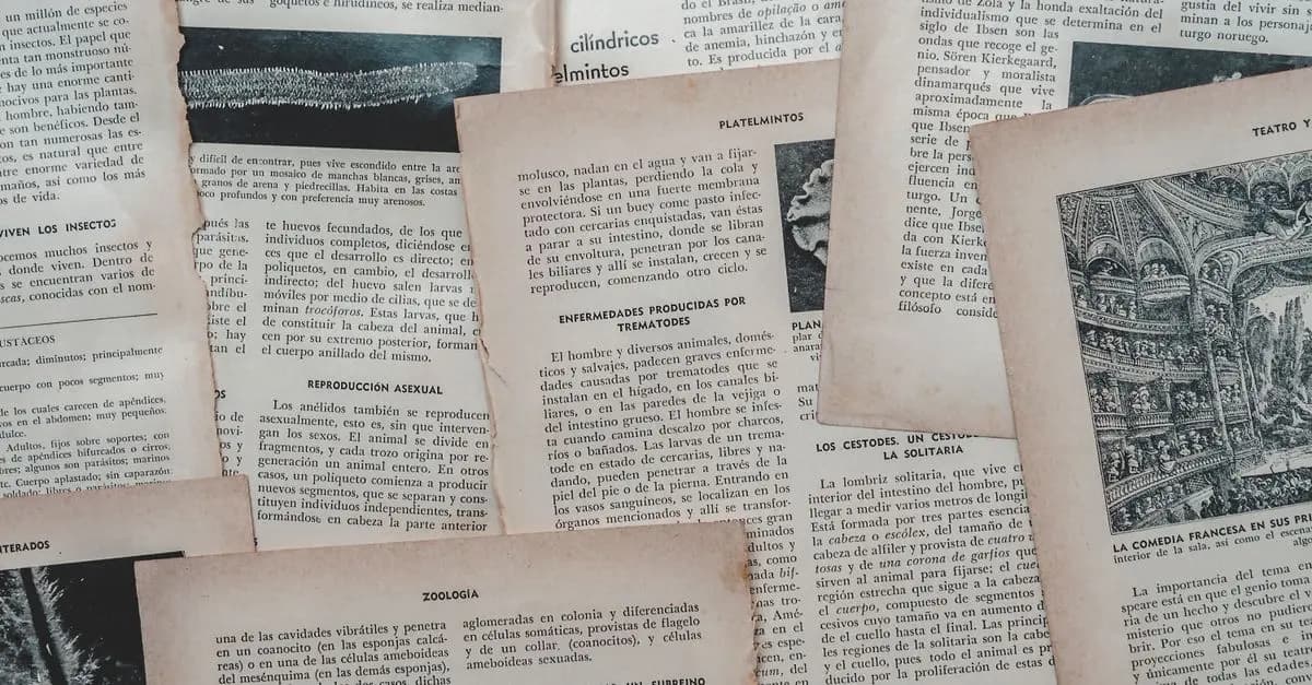 Cómo Mejorar tu Comprensión Auditiva en Español en 5 Pasos
