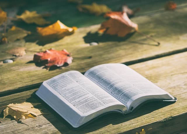 10 Consejos para Mejorar tu Vocabulario en Español